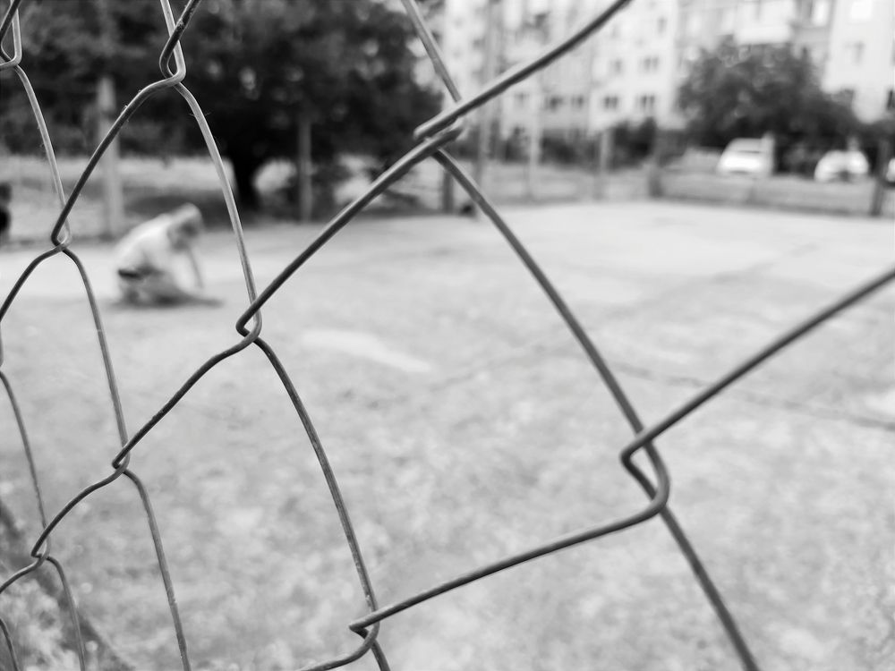 Photograph by Екатерина