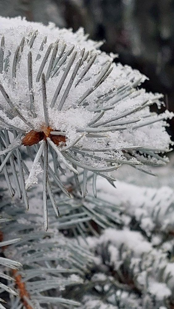 Photograph by Svitlana Usatenko