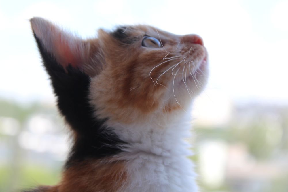 Photograph by Виталий