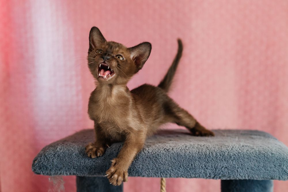 Photograph by Нефедова Ангелина