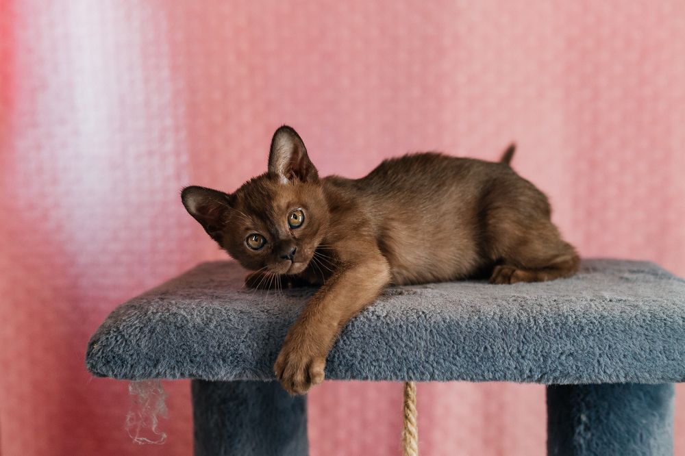 Photograph by Нефедова Ангелина