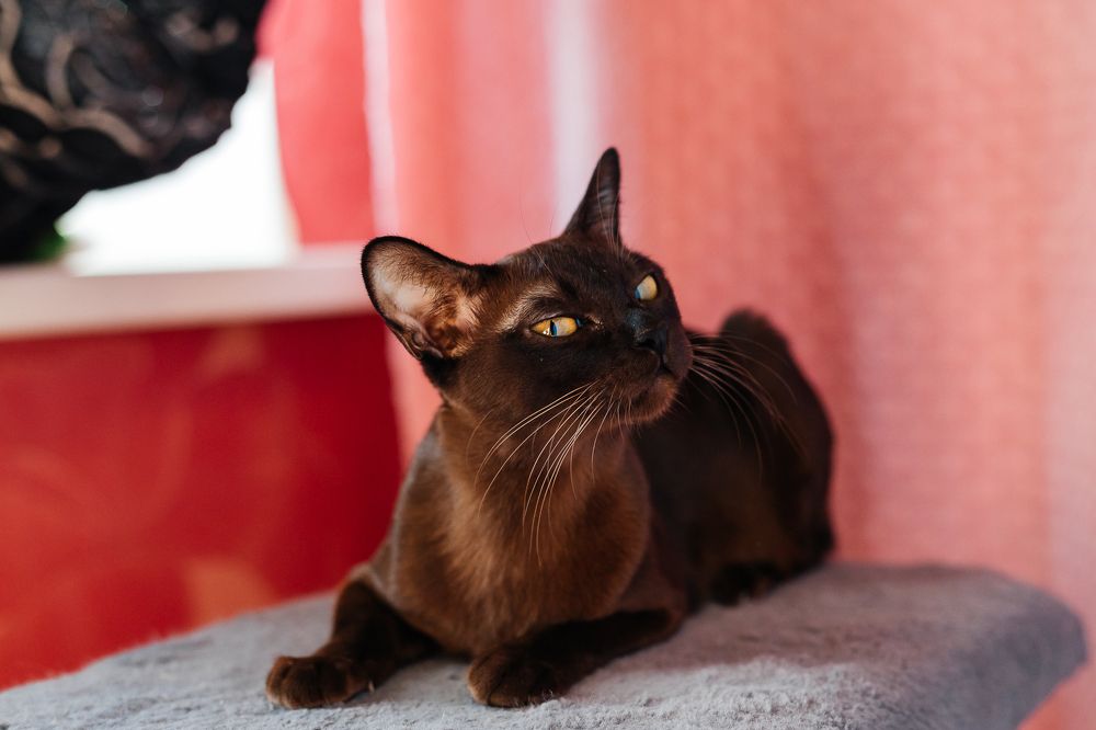 Photograph by Нефедова Ангелина