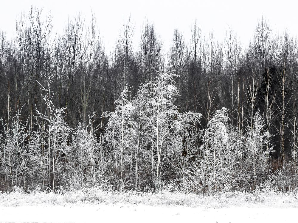 Photograph by Виталий Дорош