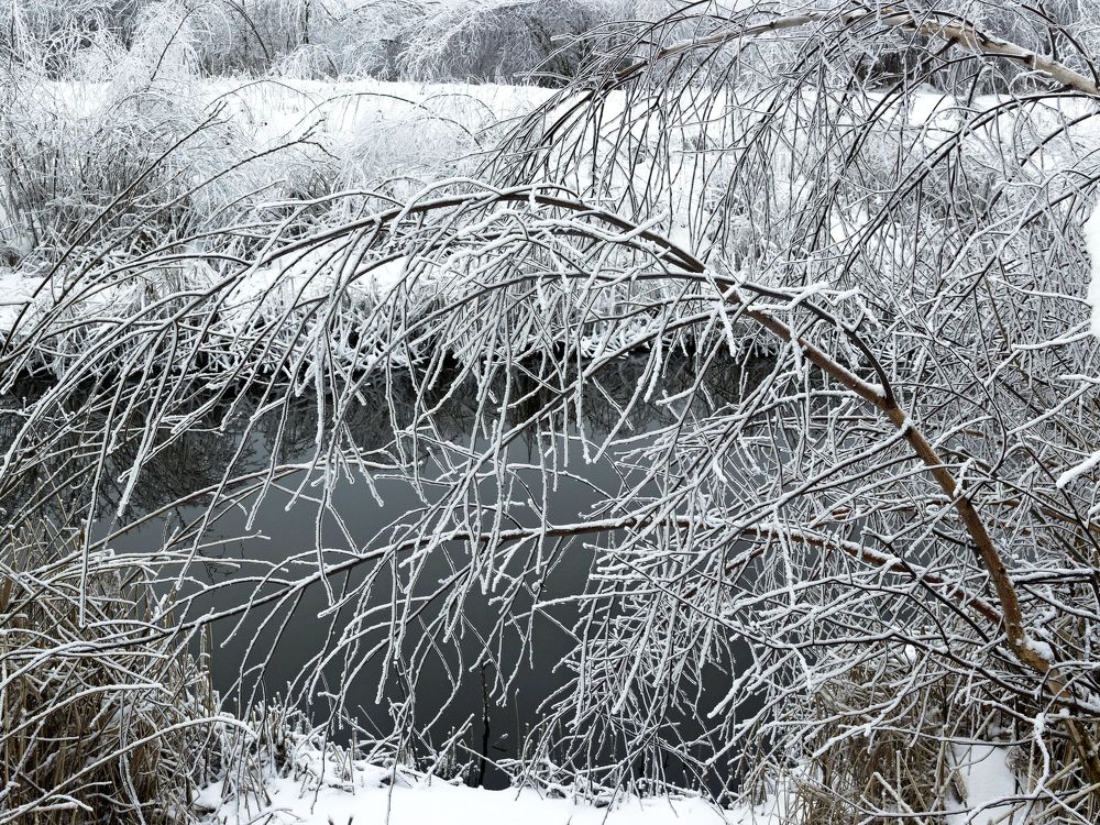 Photograph by Виталий Дорош