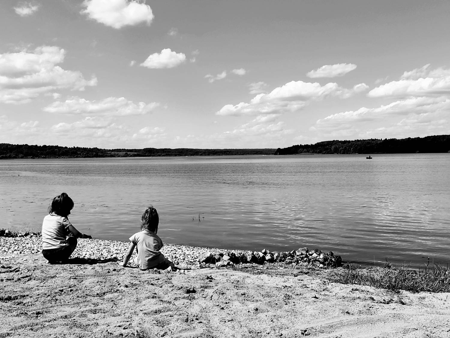 Photo #8738856