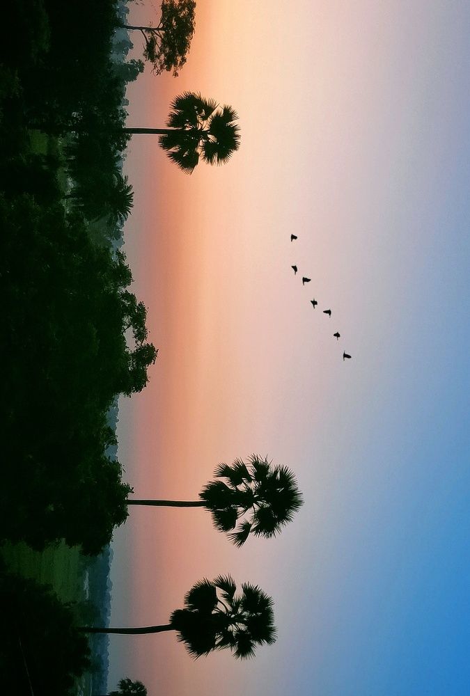 Photograph by ALI SAJID