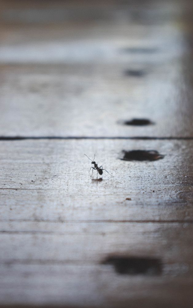 Photograph by Алена Менщикова