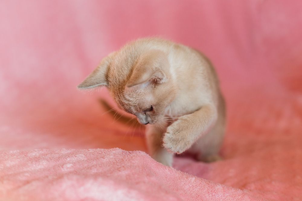 Photograph by Нефедова Ангелина