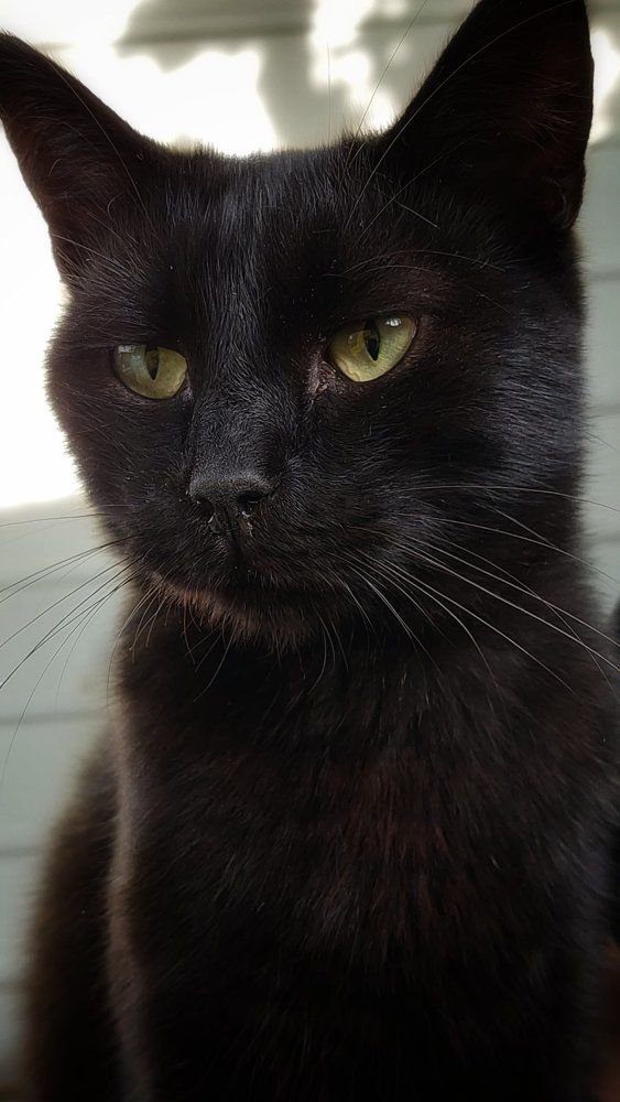 Photograph by Svitlana Usatenko