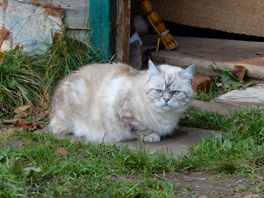 Фотография автора Клавдия Васильева