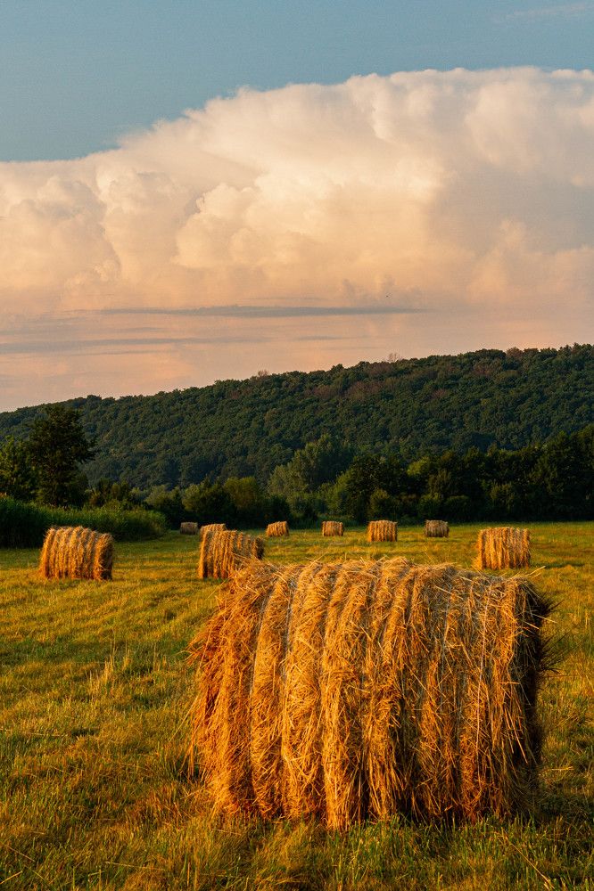 Фотография автора Алексей Тимофеев