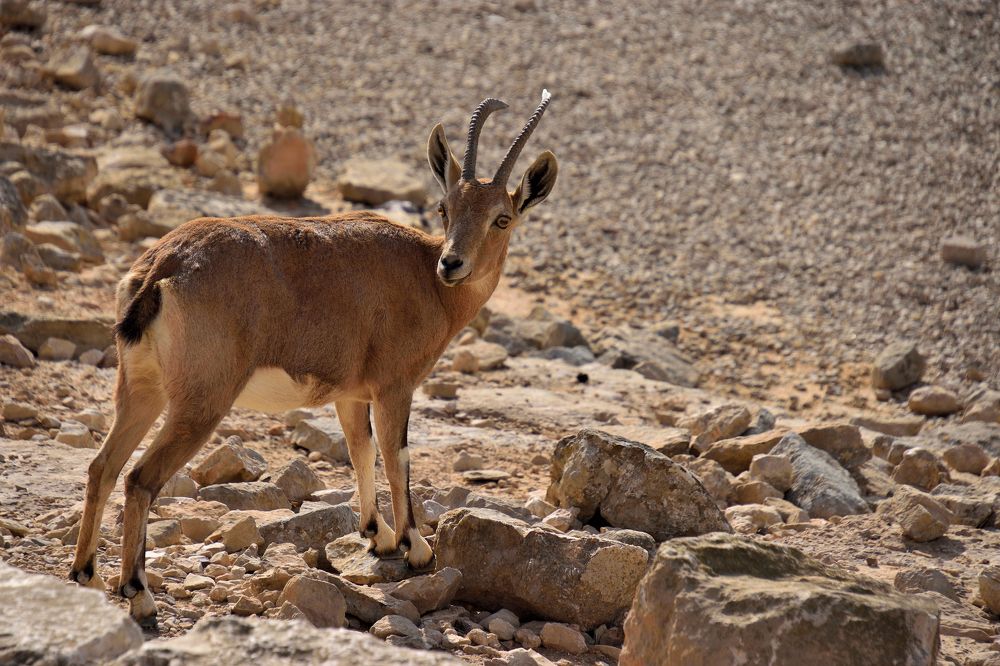 Photograph by Анатолий Хальман