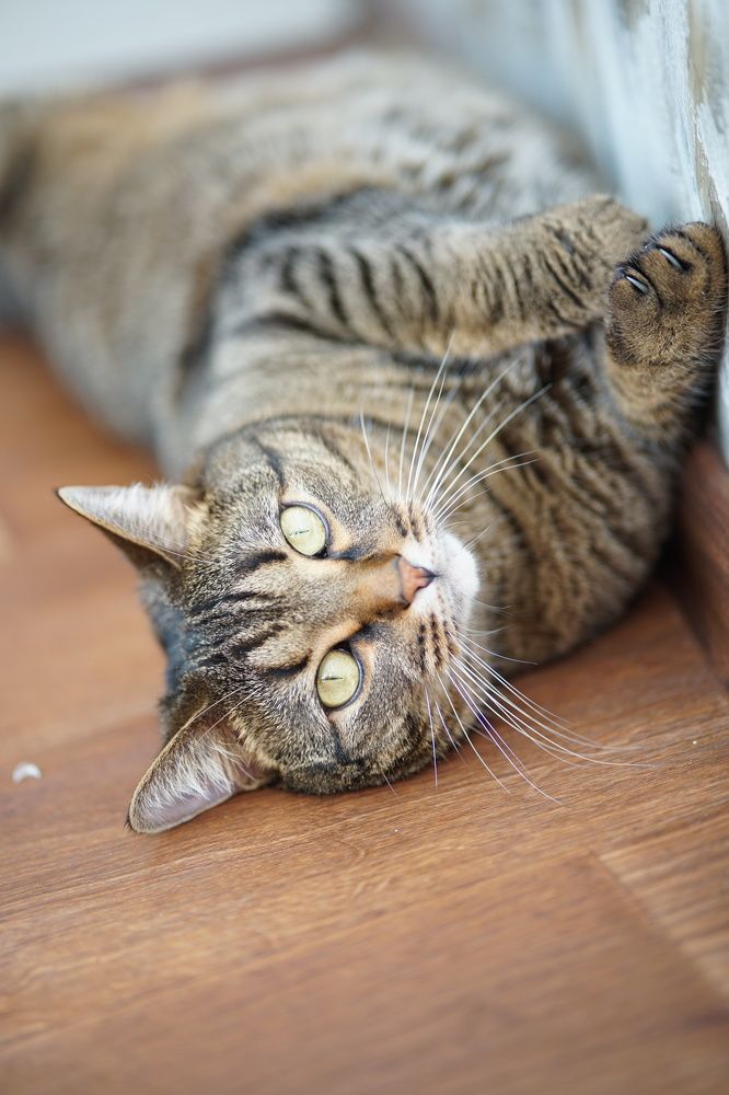 Photograph by Анна Воронова