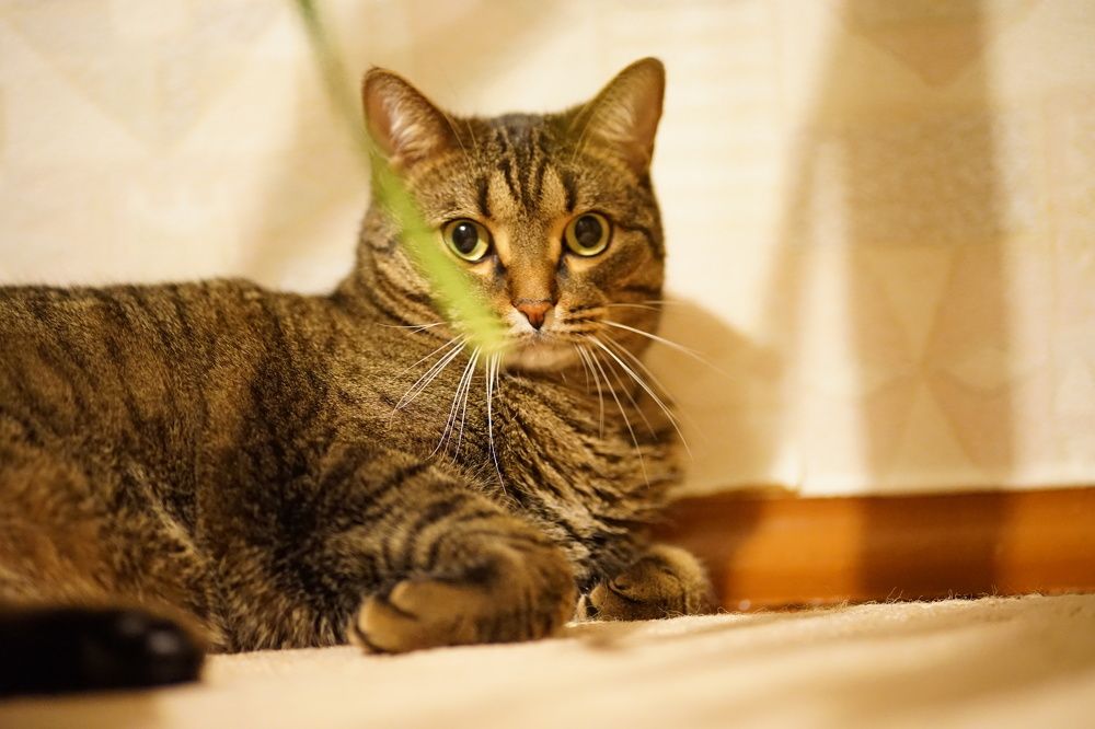 Photograph by Анна Воронова