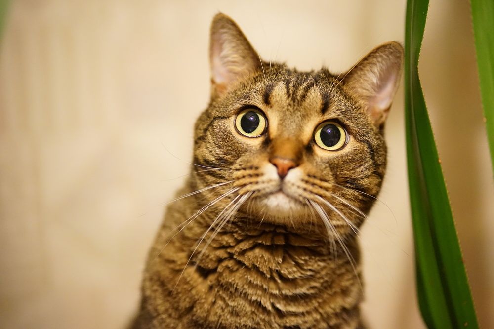 Photograph by Анна Воронова