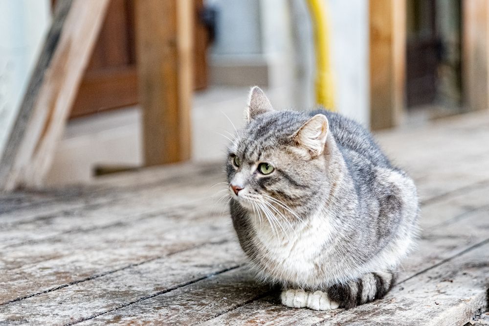 Photograph by Сергей Комаров