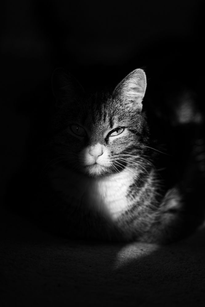 Photograph by Иван Новиков