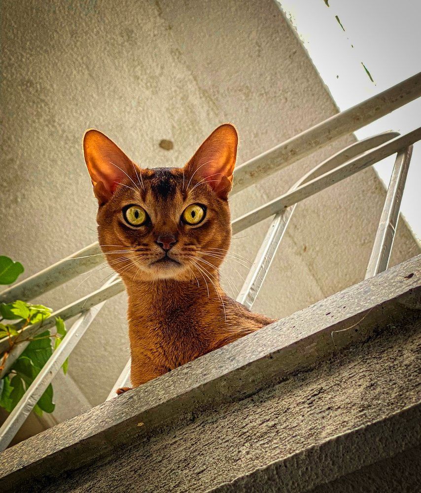 Photograph by Stoyan Baev