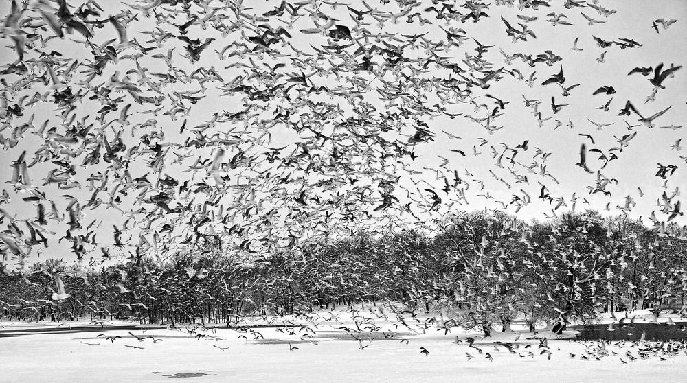 Фотография автора Ольга Виноградова