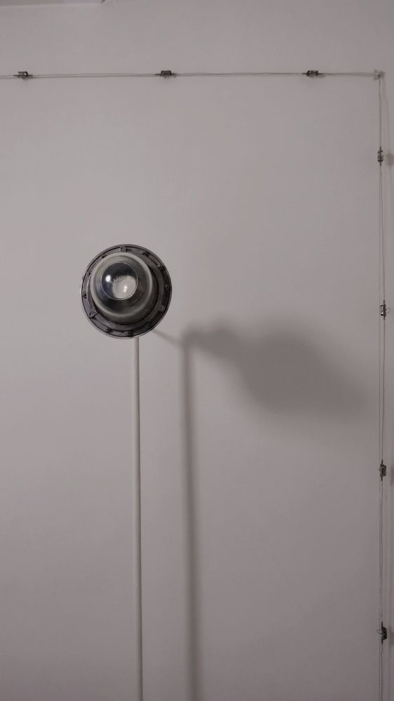 Photograph by Anastasia Kodatenko