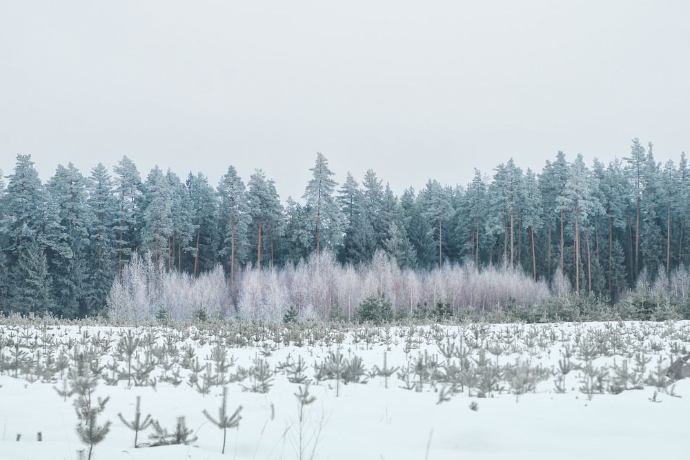 Photograph by Ольга Лобачёва