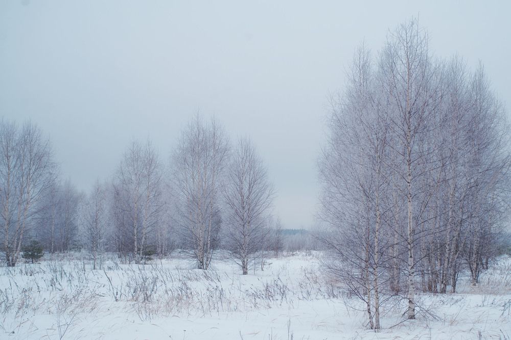 Photograph by Ольга Лобачёва