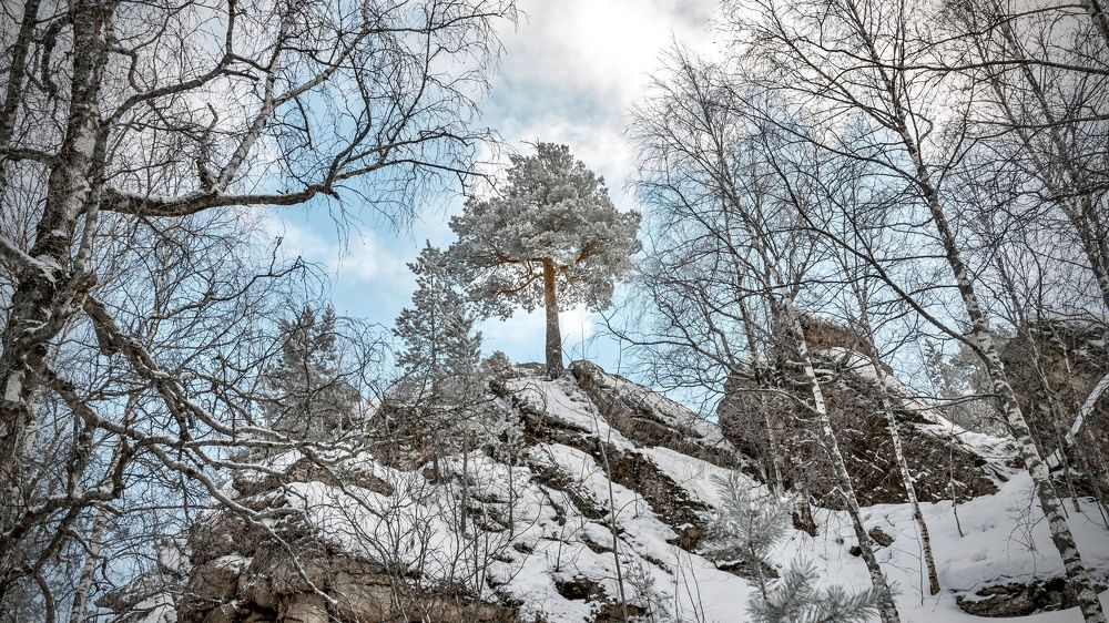 Photograph by Наталья Лапцевич