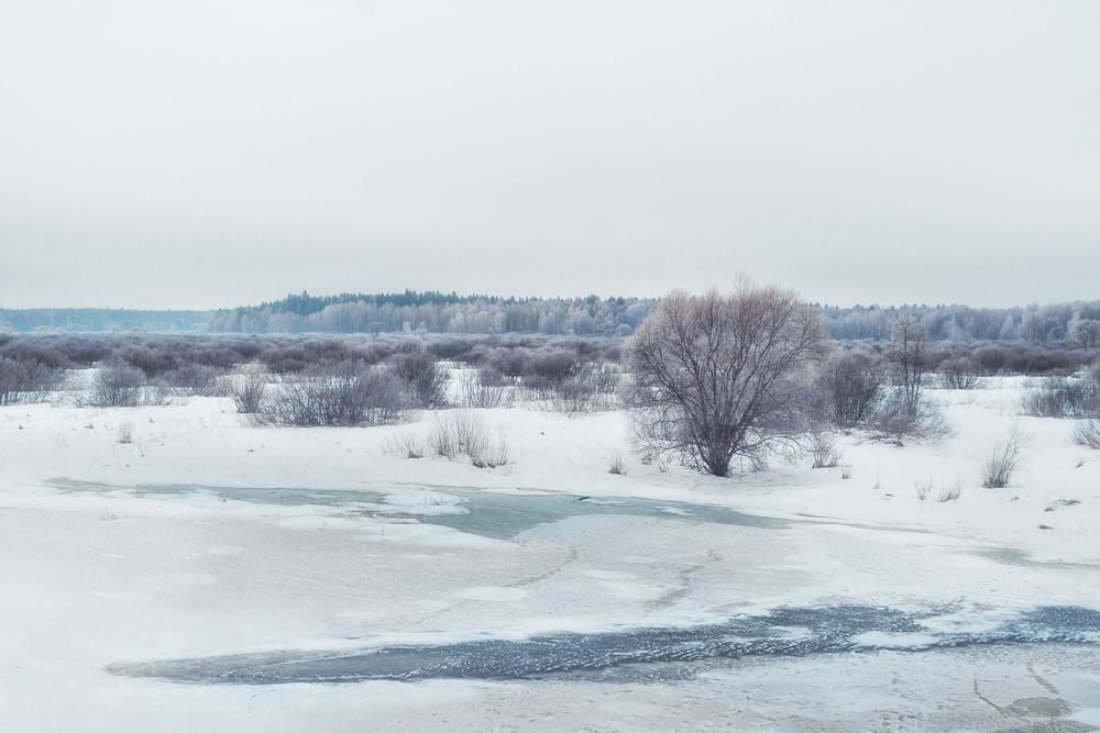 Photograph by Ольга Лобачёва