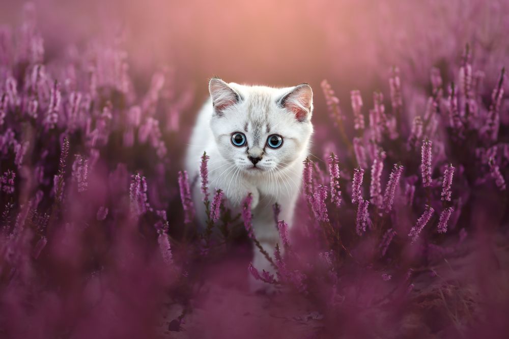 Photograph by Veronika Blažeková