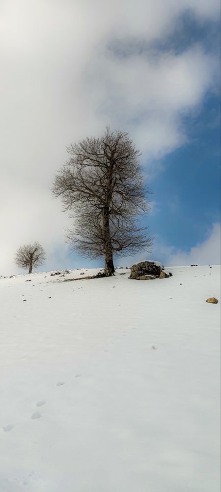 Photograph by Hadi hadipour