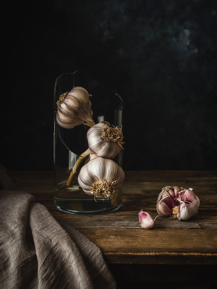 Garlic in chiaroscuro