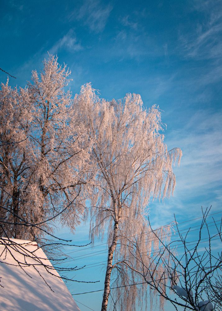 Photograph by Nataly Kiru