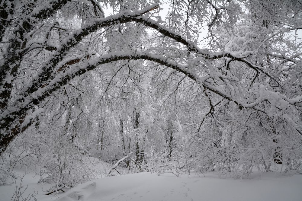 Photograph by Екатерина Крючкова