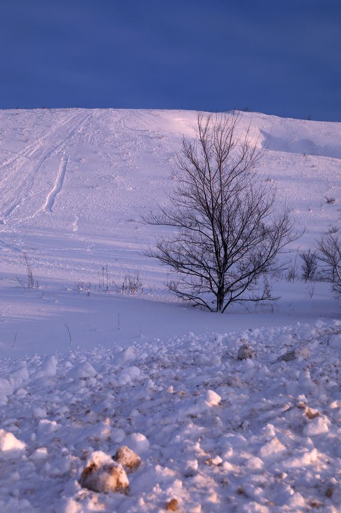 Photograph by Дарья Юсарева