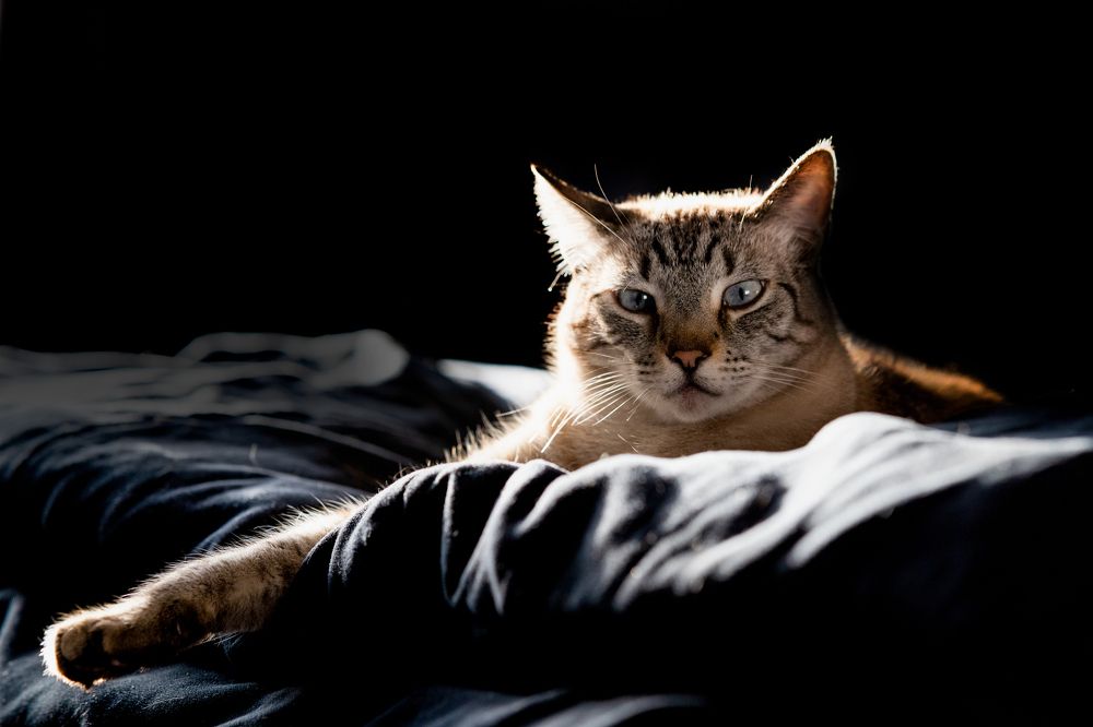 Фотография автора Angela Miller