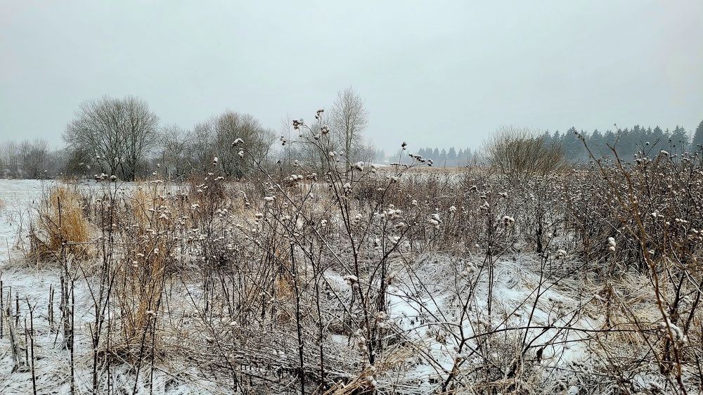 Фотография автора Александра Карпикова