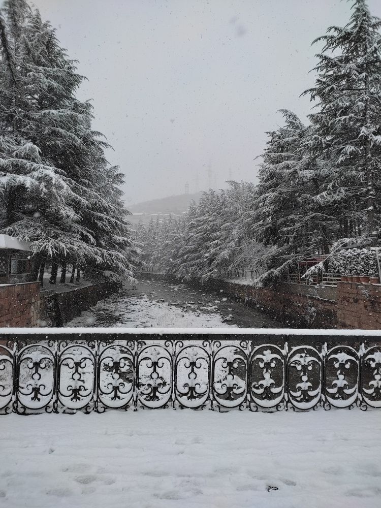 Photograph by Anush Khachatryan