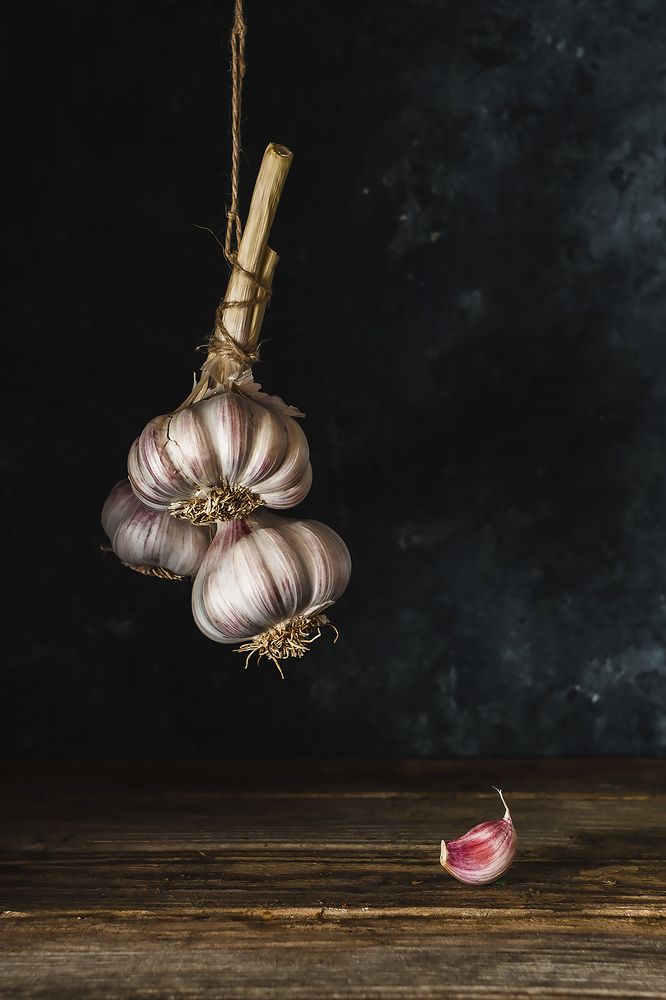 Photograph by Květa Trčková