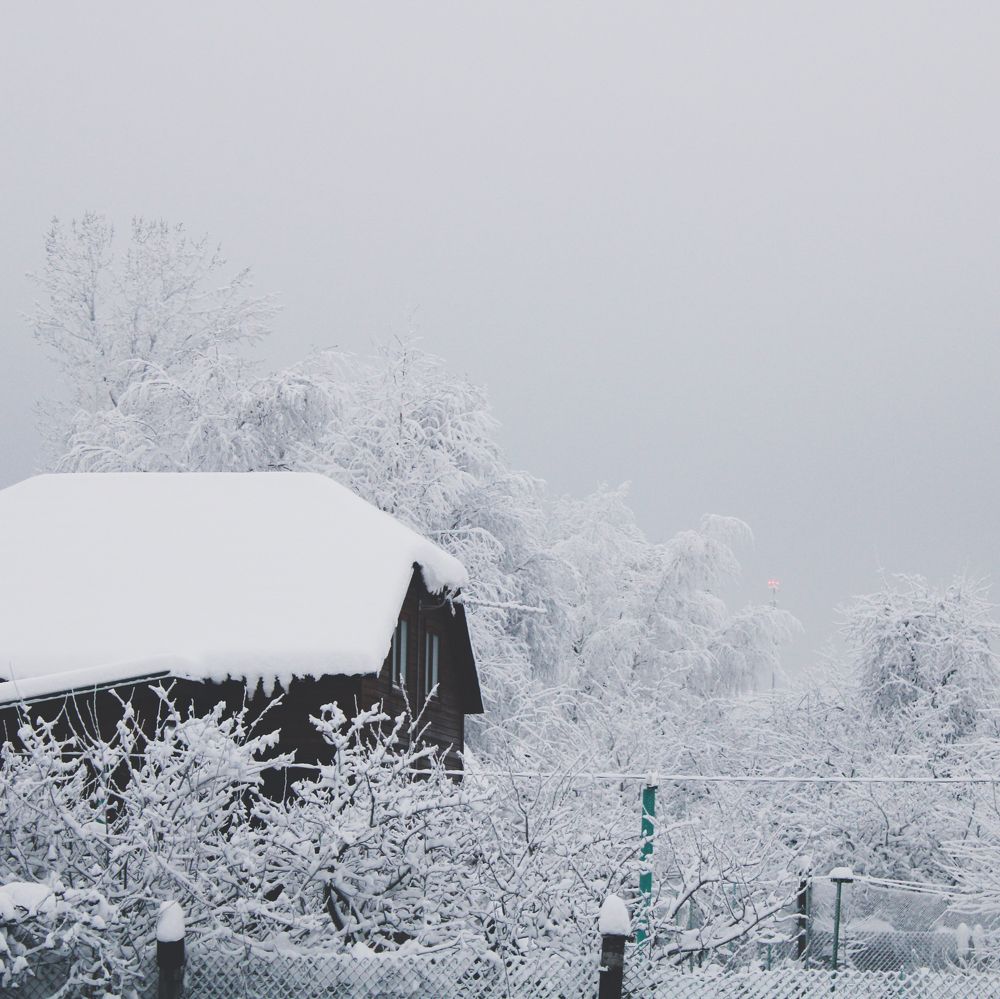 Photograph by P&G 77