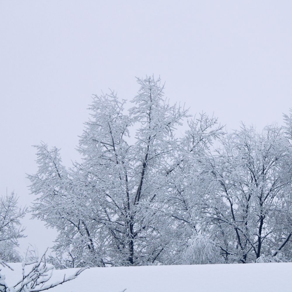 Photograph by P&G 77