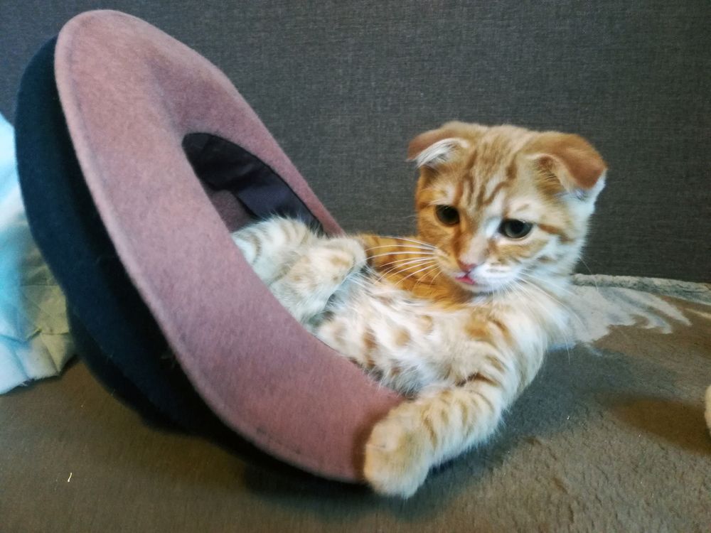 Фотография автора Валерий Цуркан