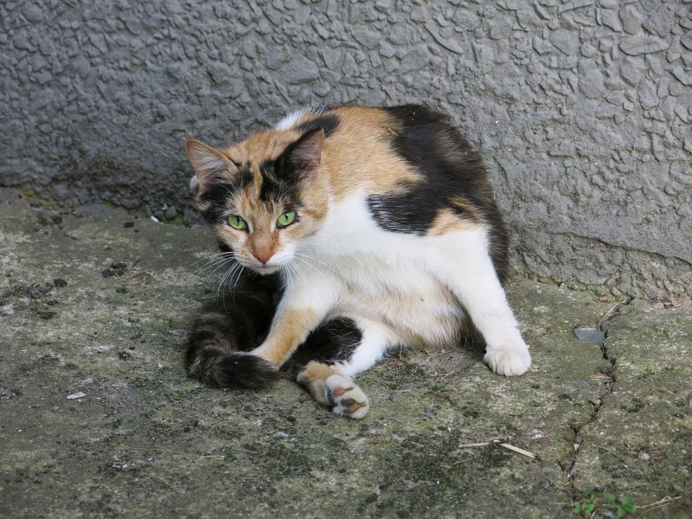 Photograph by ЭЛЬМИРА  ИСМАИЛОВА