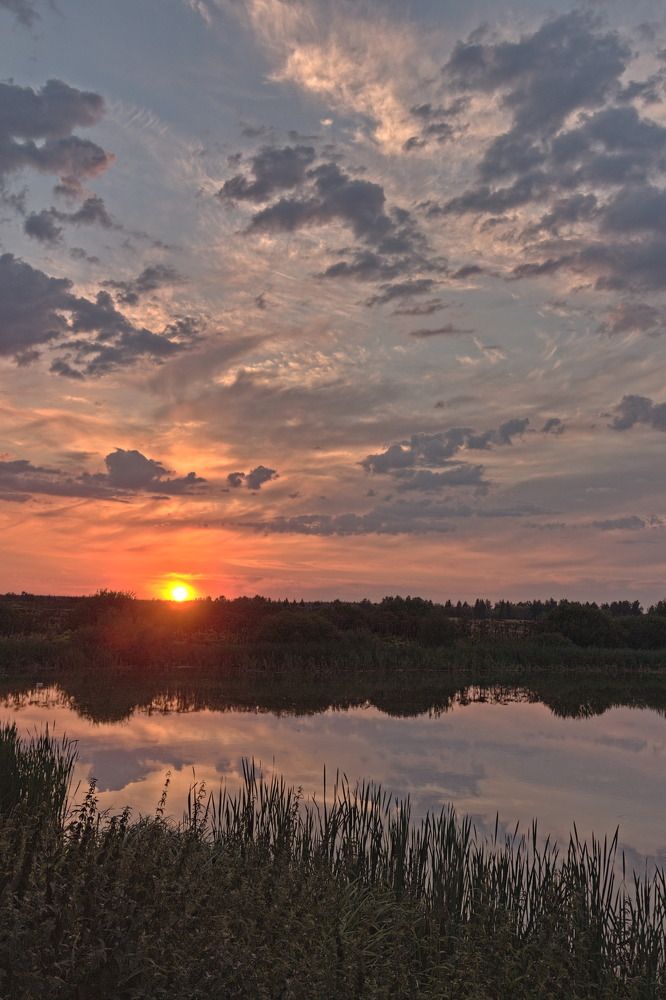 Фотография автора Бронислав Краснер
