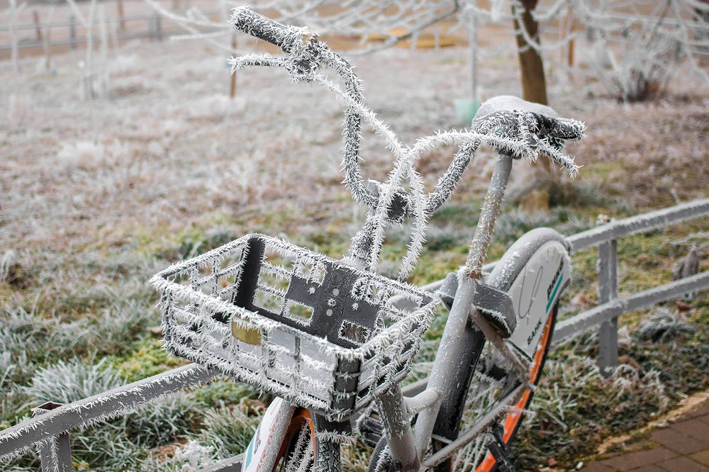 Photograph by Станислава Войцеховская