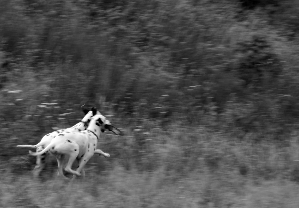 Фотография автора Валерий Цуркан