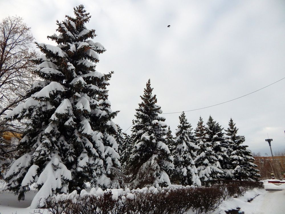 Фотография автора Валерий Цуркан