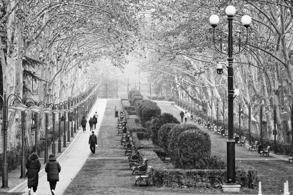 Photograph by Илья Дмитриев