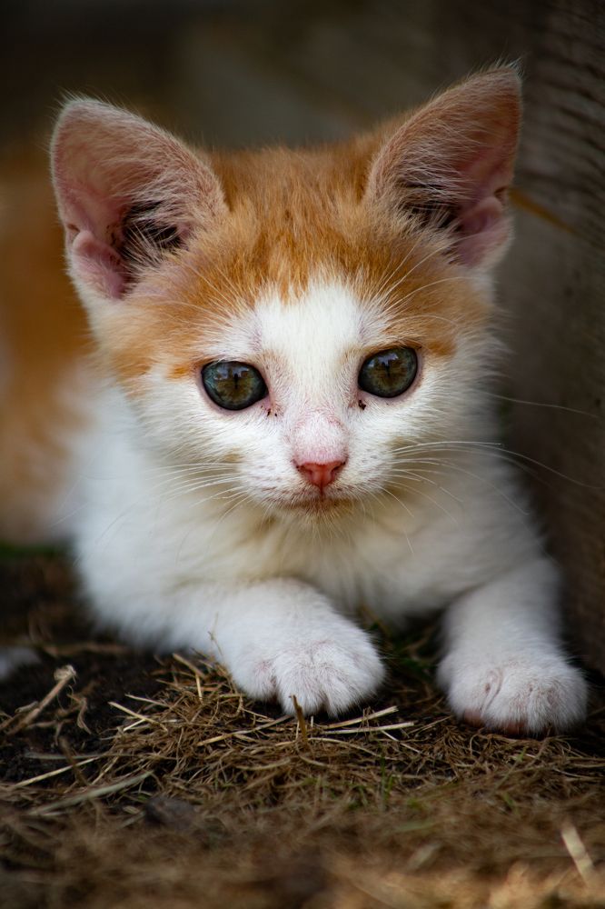 Photograph by Sebastian Ioan Pop