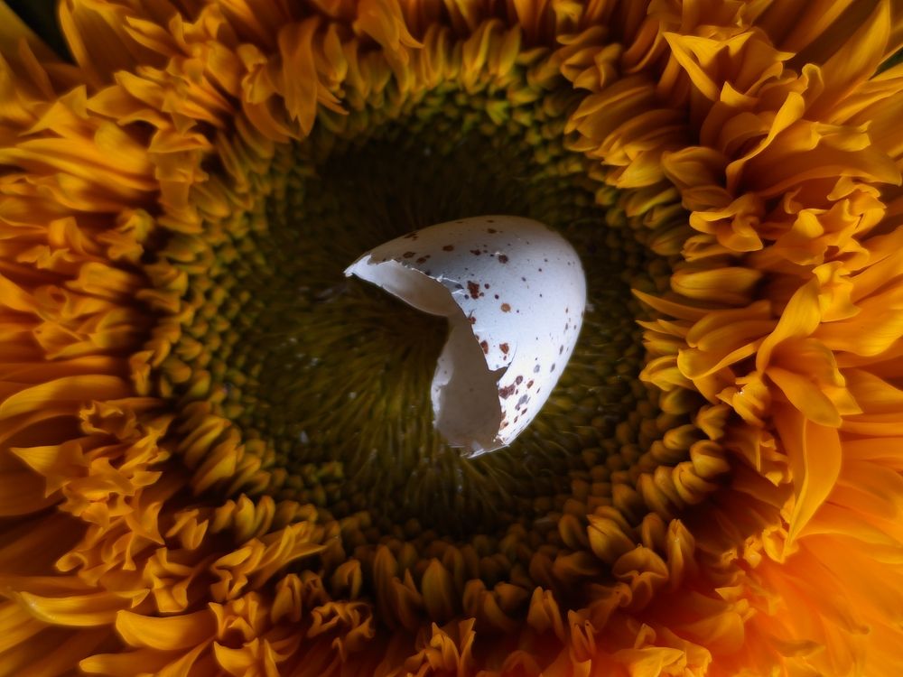 Photograph by Денис Грамович