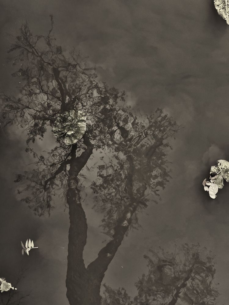 Photograph by Александра Гречушкина